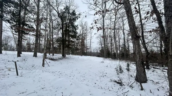 97 Cardinal Hollow Rd, Linden, TN 37096