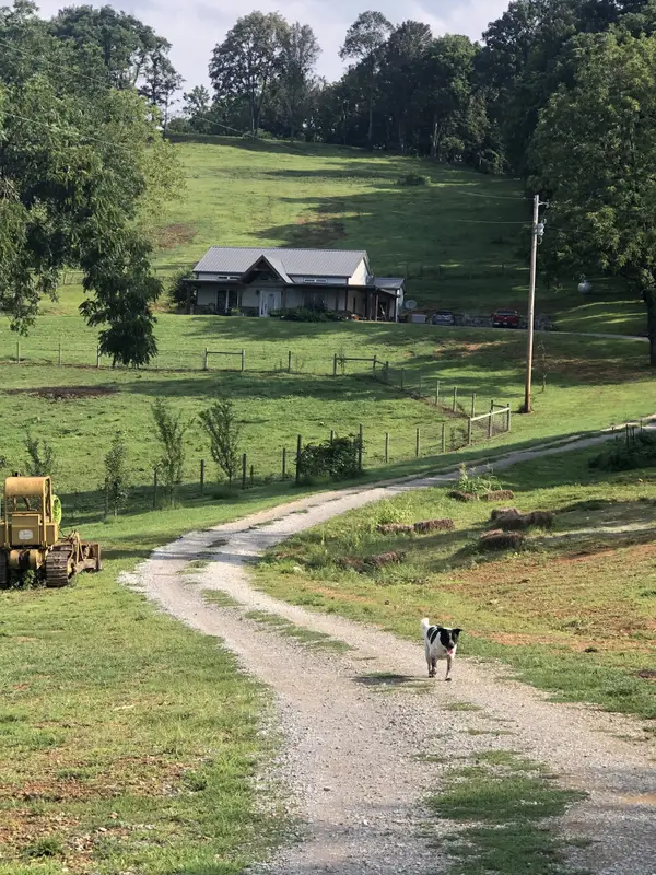 1302 Coosie Branch Rd, Cornersville, TN 37047