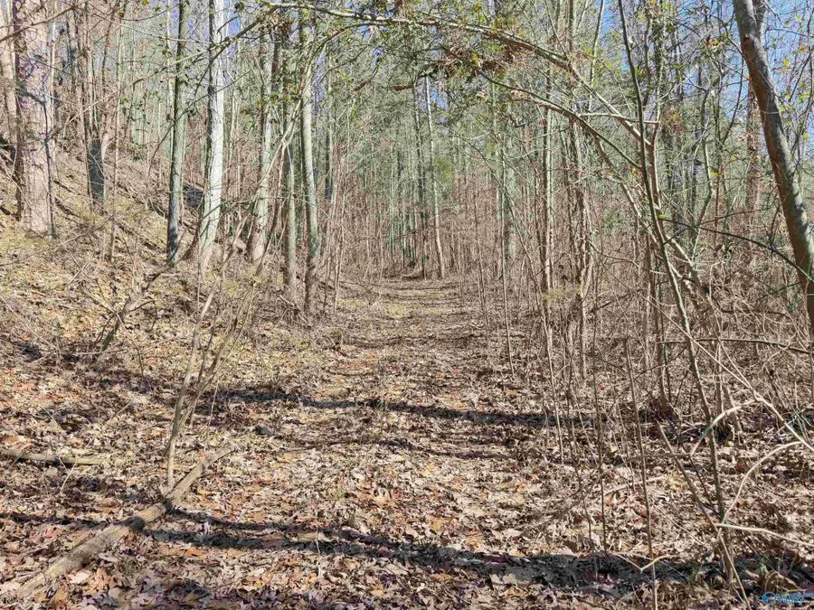 0 County Road 261, Town Creek, AL 35672 - #2