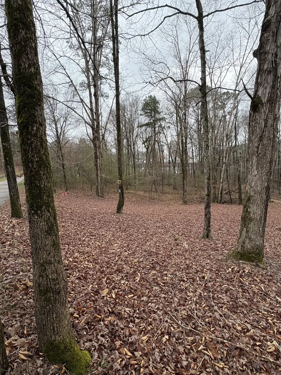 2160 Bruton Branch Rd, Savannah, TN 38372 - #2