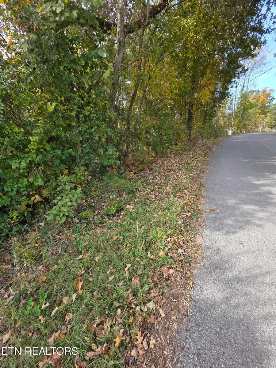 2310 Roseberry Rd, Mascot, TN 37806 - #3