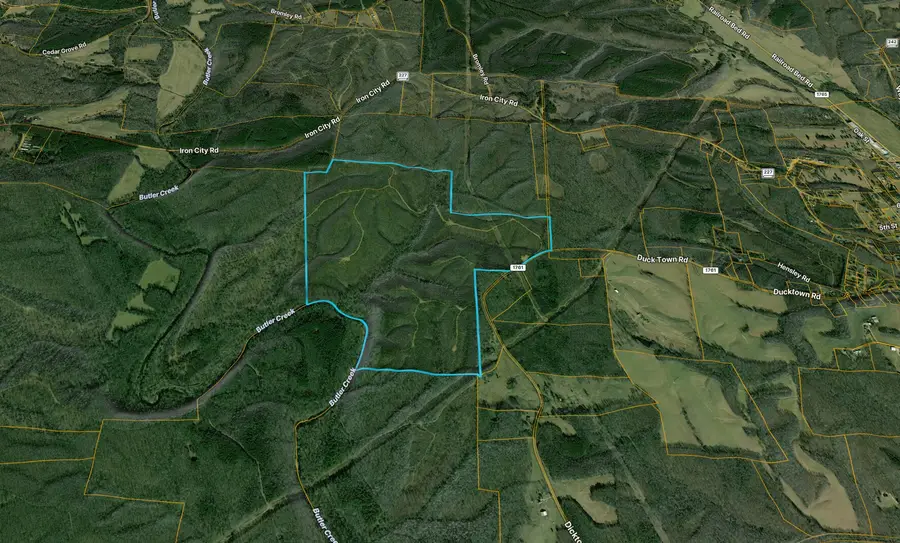 0 State Line Road, Iron City, TN 38463 - #2