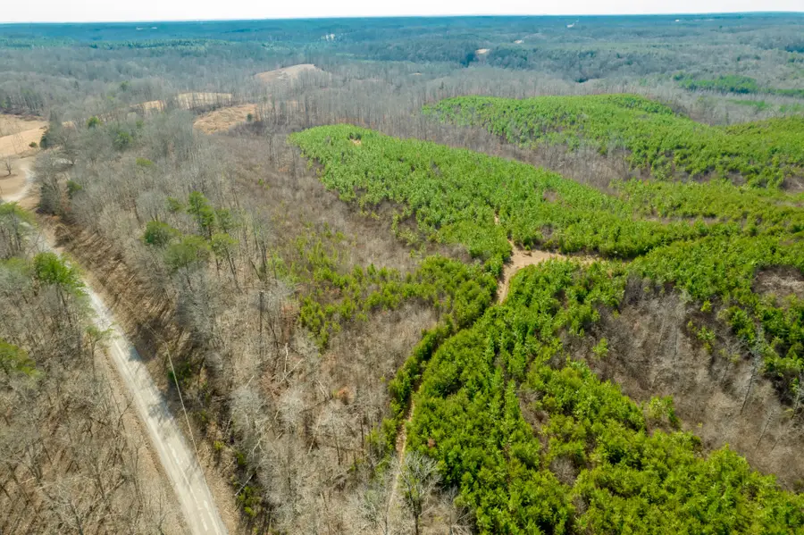 0 State Line Road, Iron City, TN 38463 - #3