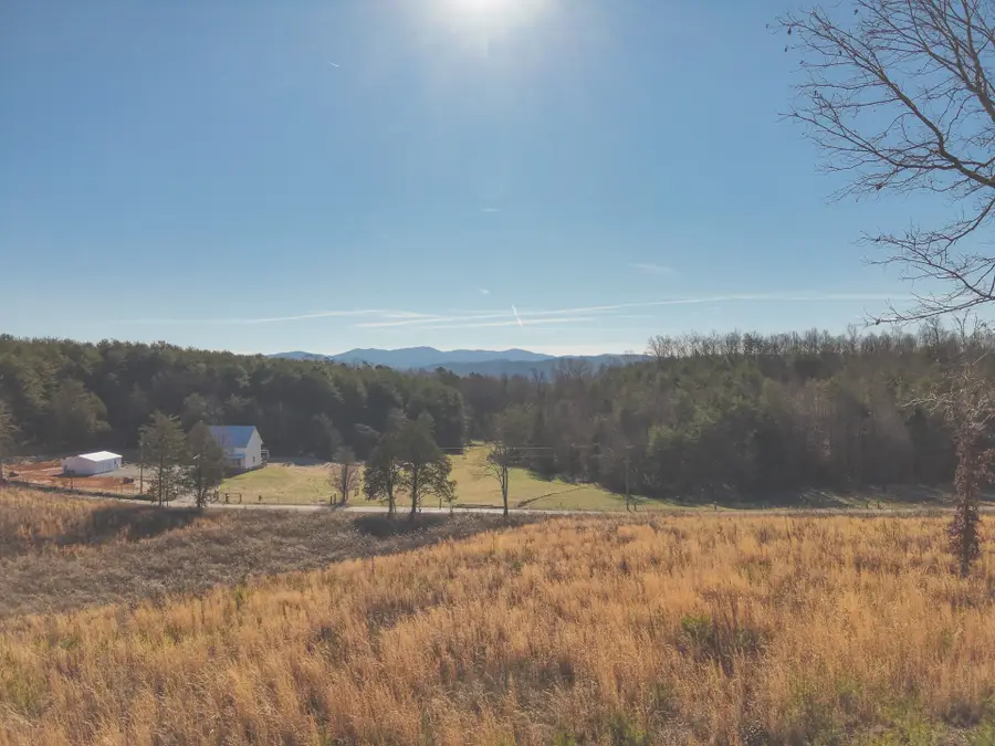 0 Curtis Road, Tellico Plains, TN 37385 - #3