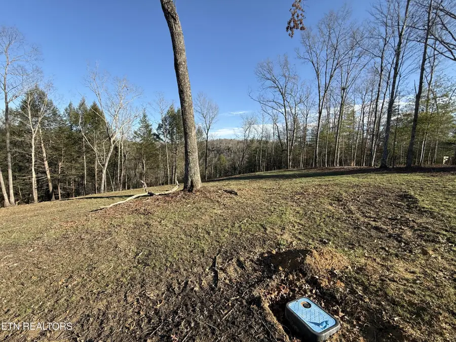 20 Bluff View, Allardt, TN 38504 - #3