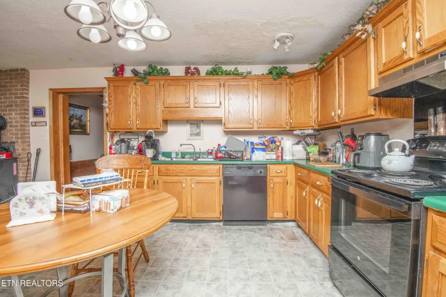 1303 Stevens Lane, Lenoir City, TN 37771 - #3