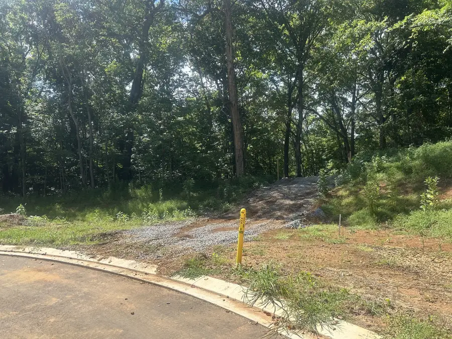 5732 Nola Dr, Arrington, TN 37014 - Image #3