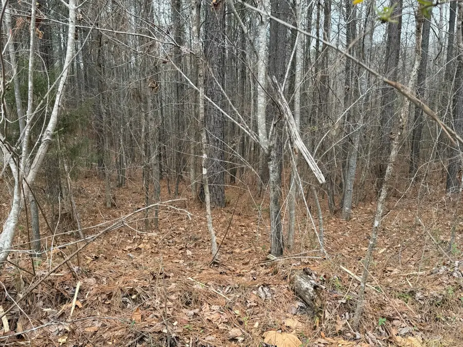 1A Bartlett Rd, Reagan, TN 38368 - #3