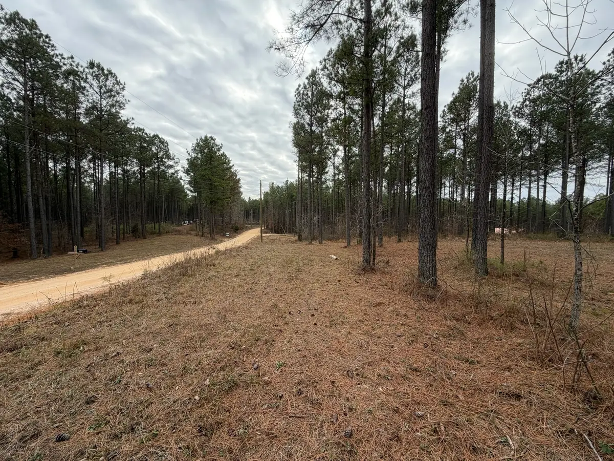 2A Bartlett Rd, Reagan, TN 38368 - #1