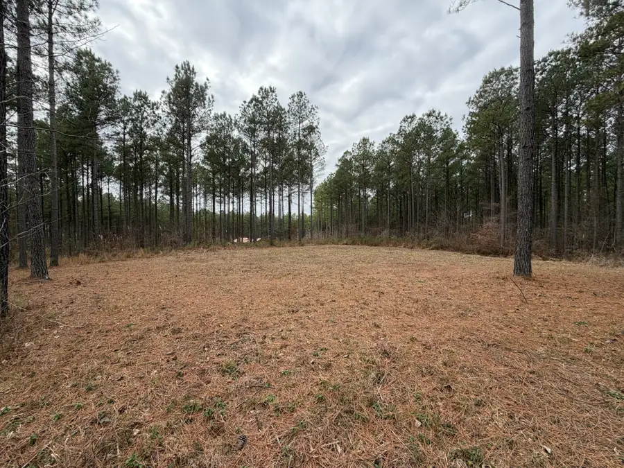 2A Bartlett Rd, Reagan, TN 38368 - #3