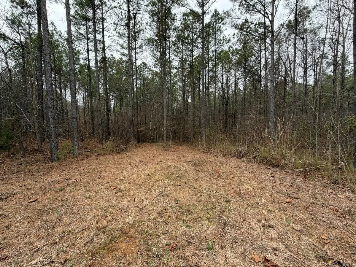 4 Bartlett Rd, Reagan, TN 38368 - #1