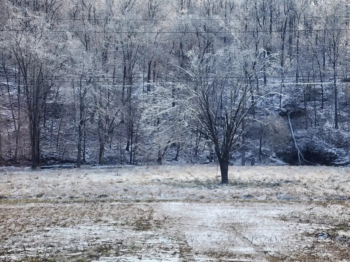 0 Savannah Hwy, Waynesboro, TN 38485 - #1