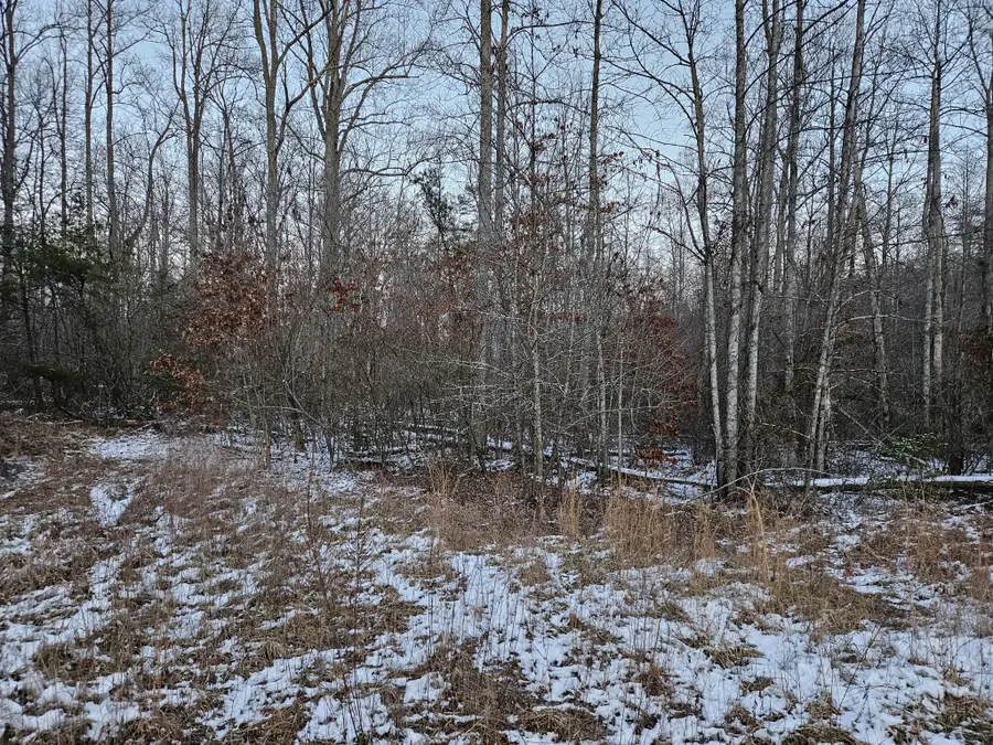 1234 Rodgers Rd, Crossville, TN 38572 - #3