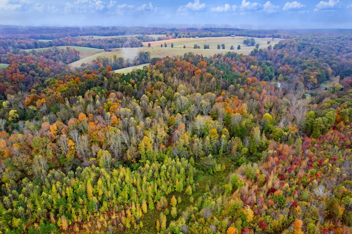 0 Ducktown Road, Iron City, TN 38463 - #1