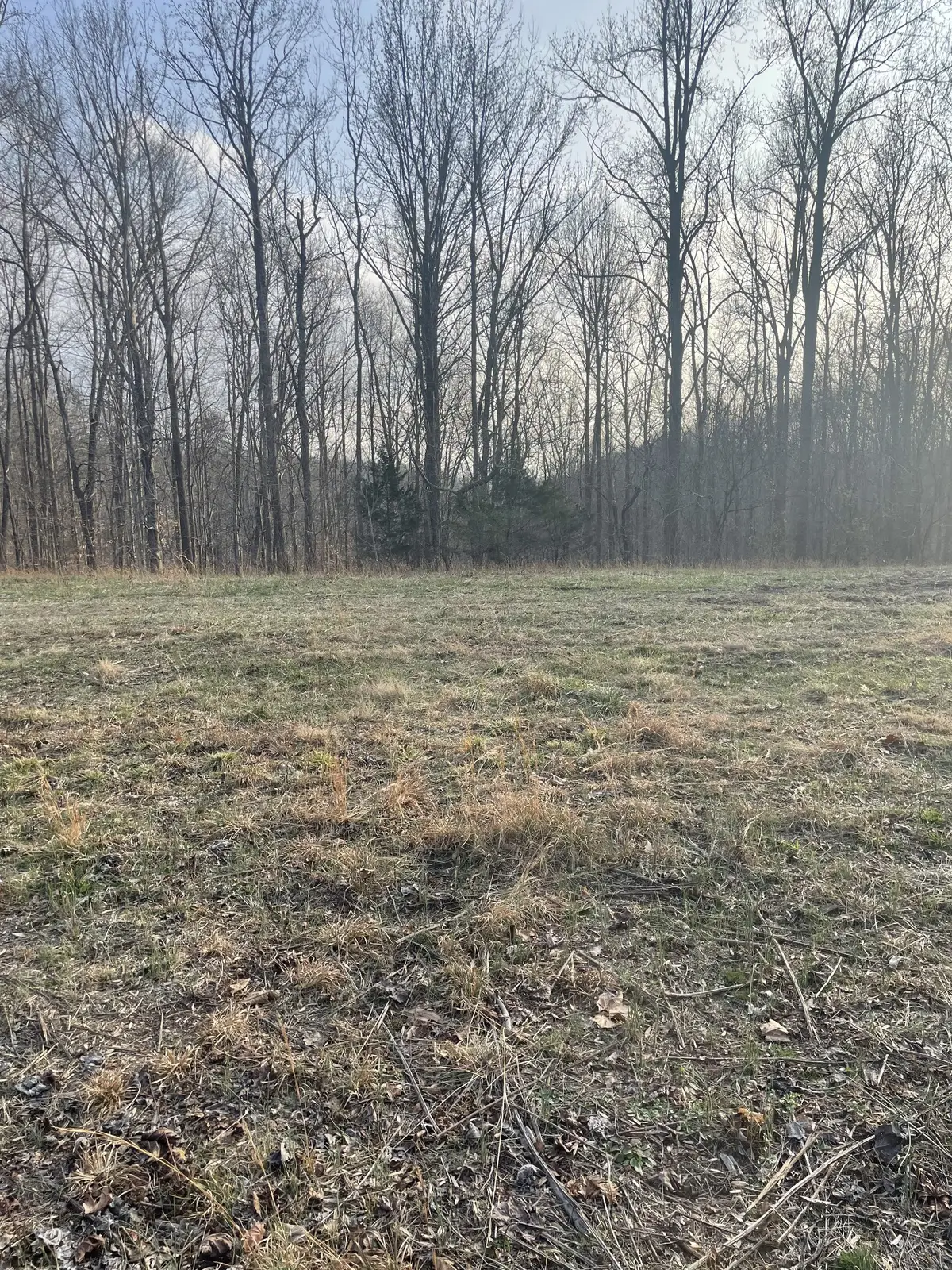 0 Sugar Tree Knob Rd, Liberty, TN 37095 - #1