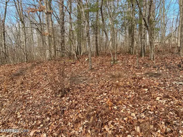 116 Overlook Cove, Crossville, TN 38558