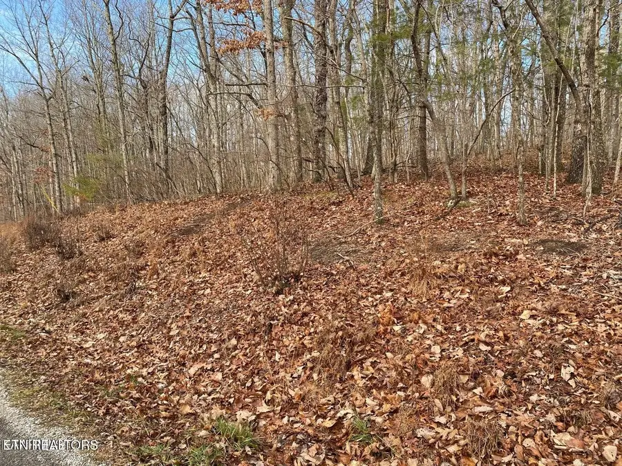 116 Overlook Cove, Crossville, TN 38558 - Image #2