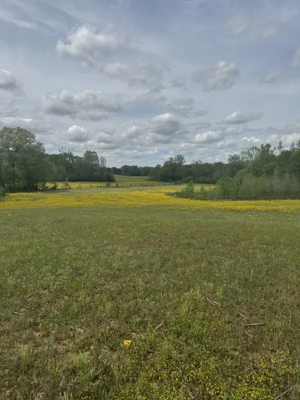 0 Taylor Cemetery Rd, Buena Vista, TN 38318