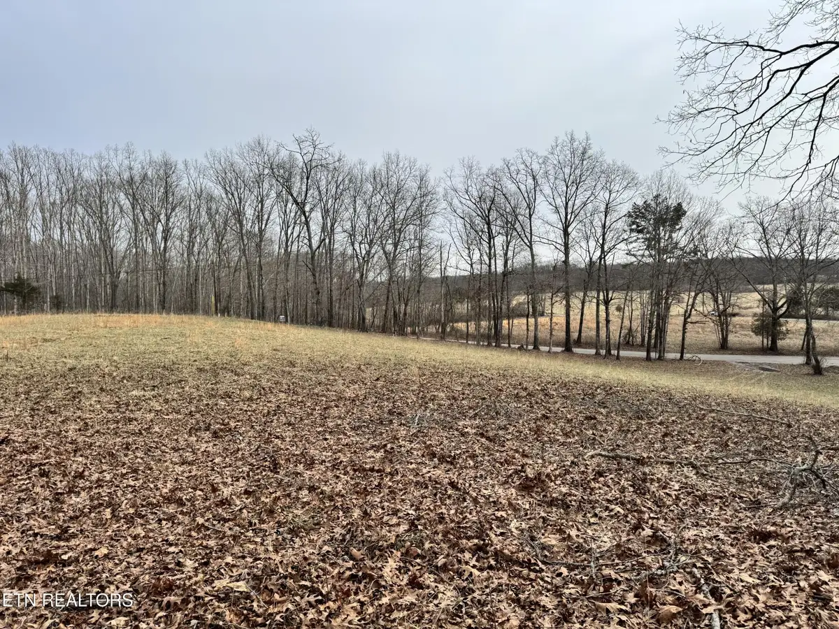 41 Smith Mountain Rd, Rockwood, TN 37854 - Image #1