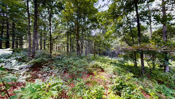 0 Ridgewood Dr, Mc Ewen, TN 37101