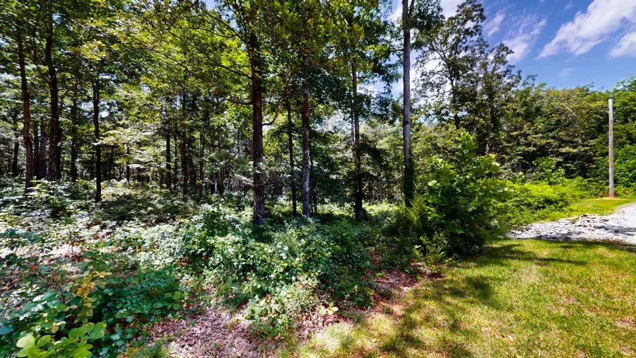 0 Ridgewood Dr, McEwen, TN 37101 - #3