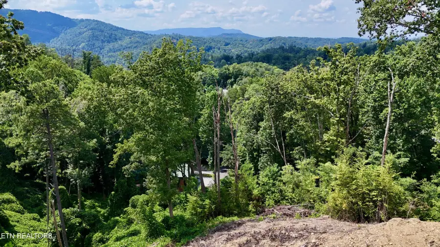 1119 E Kings Ridge Rd, Gatlinburg, TN 37738 - Image #3