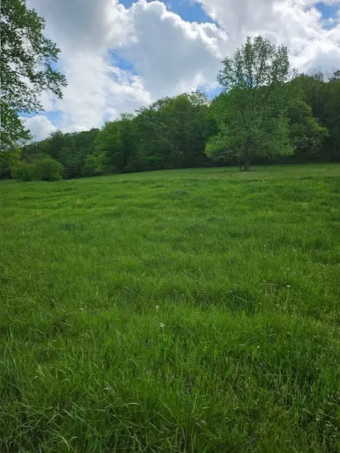 263 Club Springs Rd, Elmwood, TN 38560 - #2