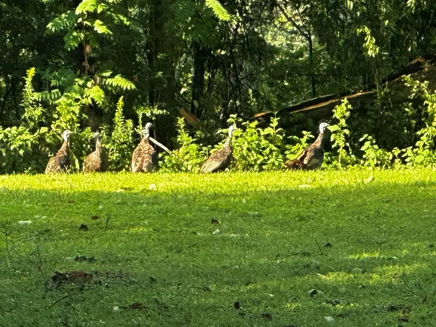 0 Duck Pond Rd, Sparta, TN 38583 - #2