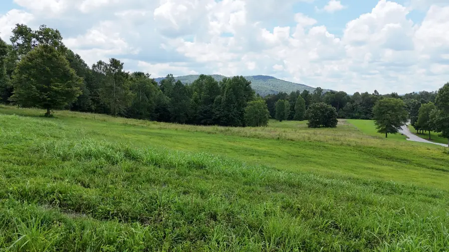 0 Collins Run, McMinnville, TN 37110 - #2