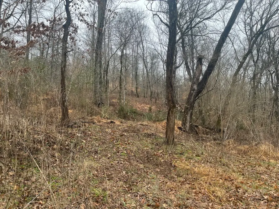 0 Cathcart Rd, Frankewing, TN 38459 - #2