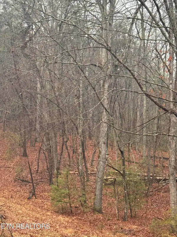 18 Bacham Court, Crossville, TN 38558