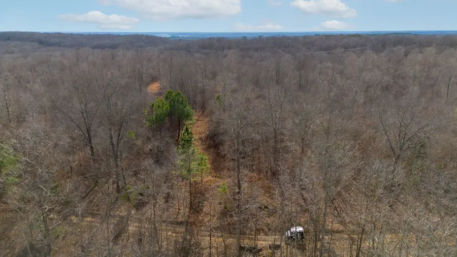 1 Olde Tennessee Trail, Springville, TN 38256 - #2