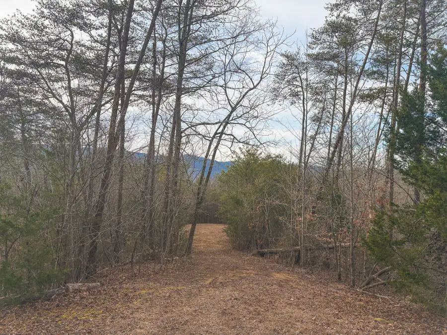 1133 Macedonia Martin Gap Rd, Englewood, TN 37329 - #3