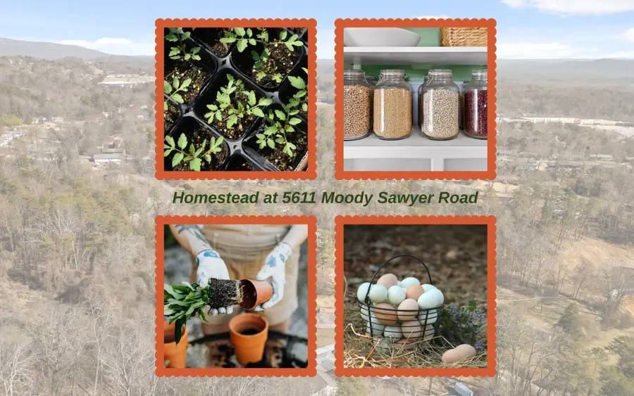 5611 Moody Sawyer Road, Hixson, TN 37343 - #3