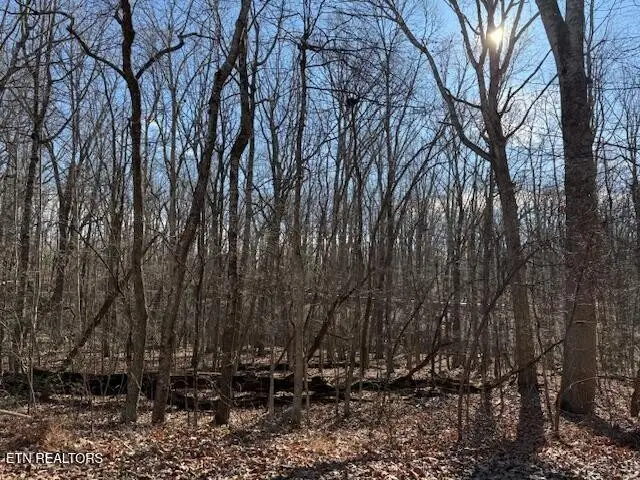 113 Overlook Cove, Crossville, TN 38558 - Image #1