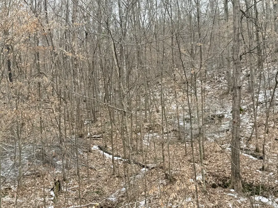 0 Scott Branch Rd, Hampshire, TN 38461 - #2