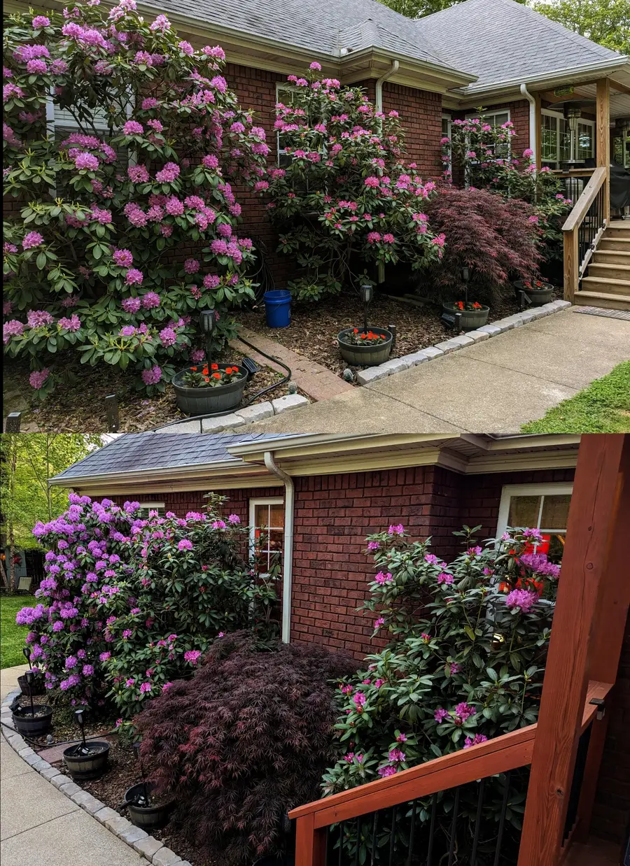 2023 Chris Ct, Pleasant View, TN 37146 - Image #3