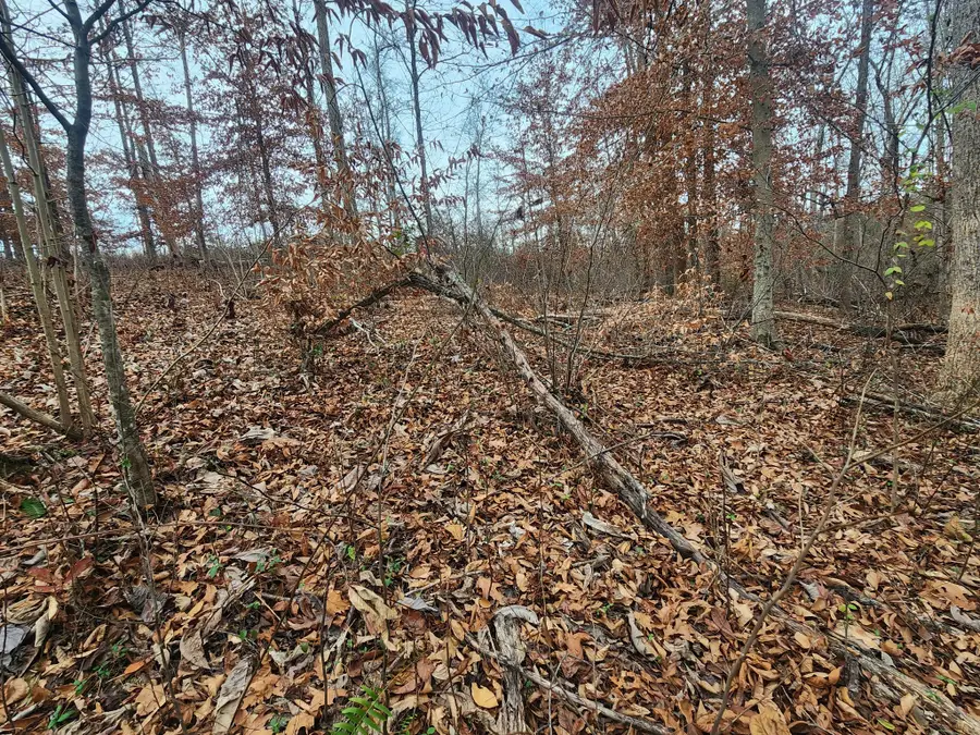 0 Peninsulas Edge Dr S, Smithville, TN 37166 - #3