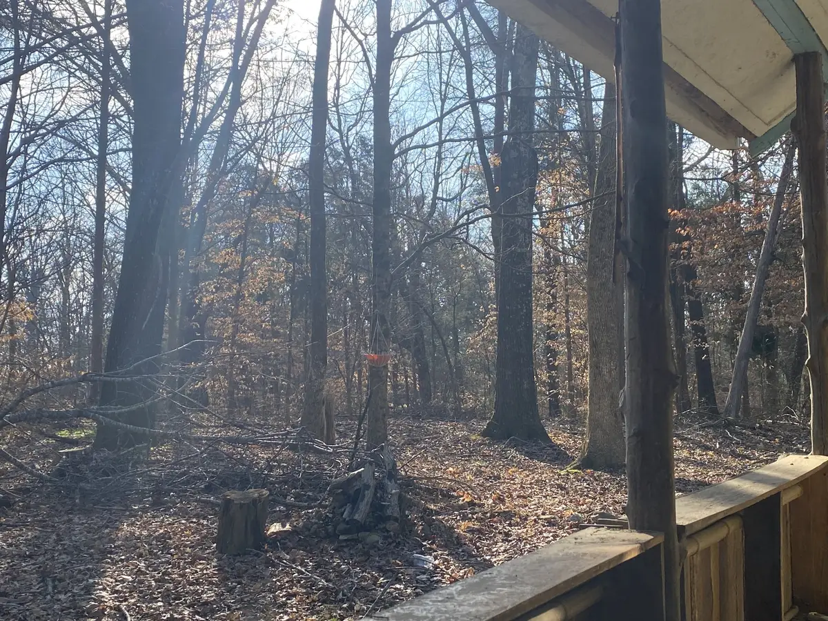 7992 Primm Springs Rd, Primm Springs, TN 38476 - #1