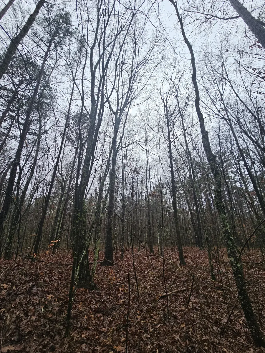 16 Highway 150, Sequatchie, TN 37374 - #3