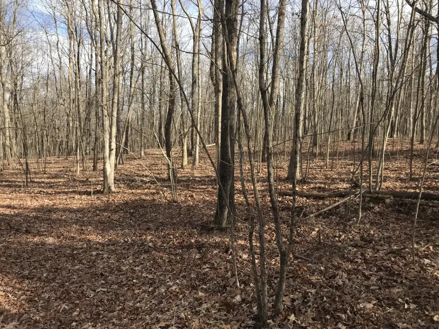 0 Greenfields Way N, Dunlap, TN 37327 - #2