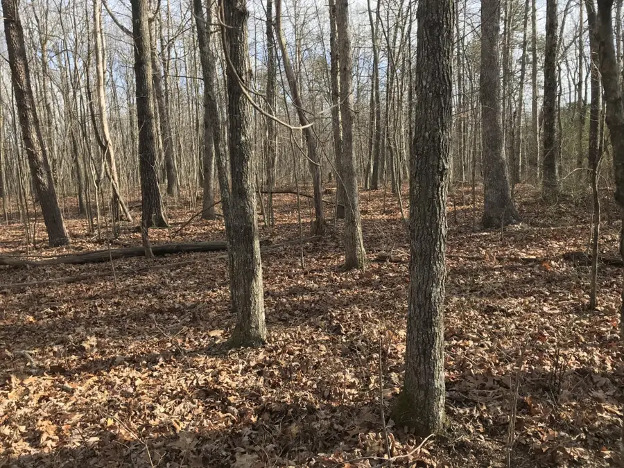 0 Greenfields Way N, Dunlap, TN 37327 - #3