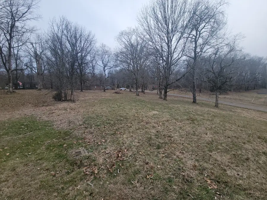 171 Trinity Hill Rd, Pulaski, TN 38478 - #3