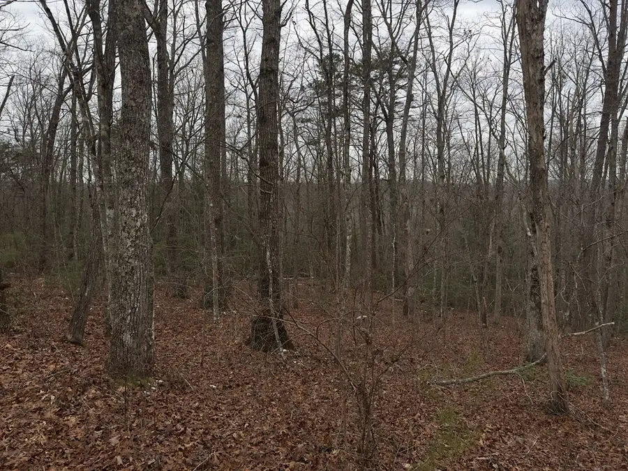 16R Stockton Bluffs Ln, Jamestown, TN 38556 - #3