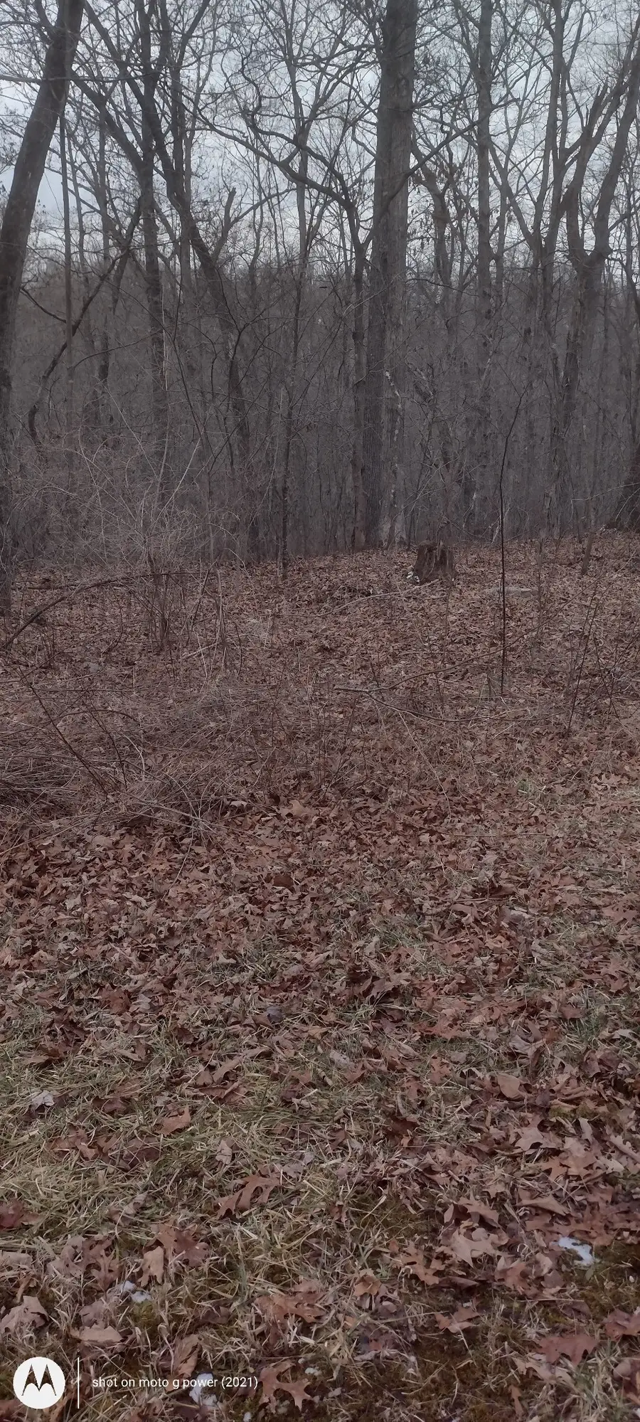 30 Devon Loop, Crossville, TN 38558 - Image #2