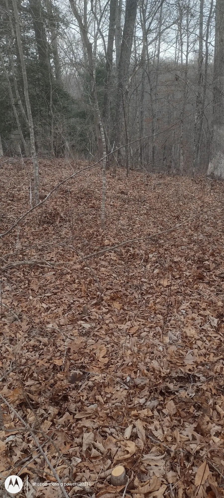 30 Devon Loop, Crossville, TN 38558 - Image #3