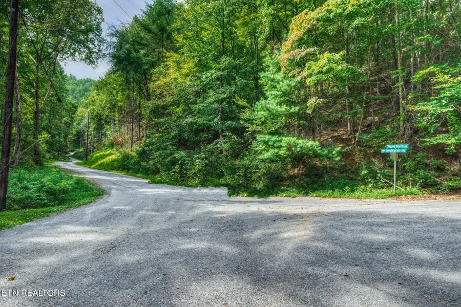 0 Lot 9 Stepping Stone Drive, Sevierville, TN 37862 - #3