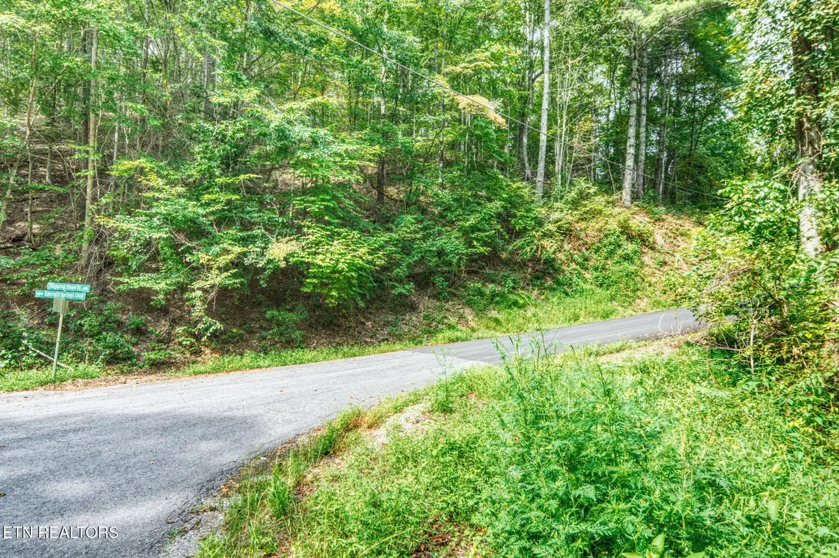 0 Lot 10 Stepping Stone Drive, Sevierville, TN 37862 - #1