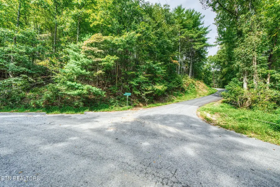 0 Lot 10 Stepping Stone Drive, Sevierville, TN 37862 - #2