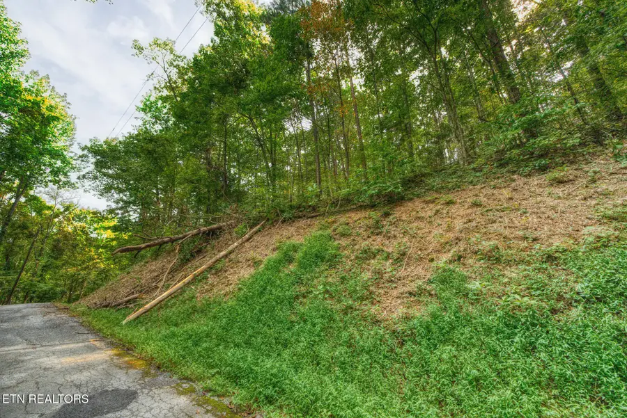 0 Lot 11 Stepping Stone Drive, Sevierville, TN 37862 - #2